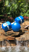 Load image into Gallery viewer, The Bull - Large Dumbbells
